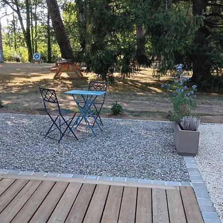 Bois Du Bournat Piscine Et Tranquilite