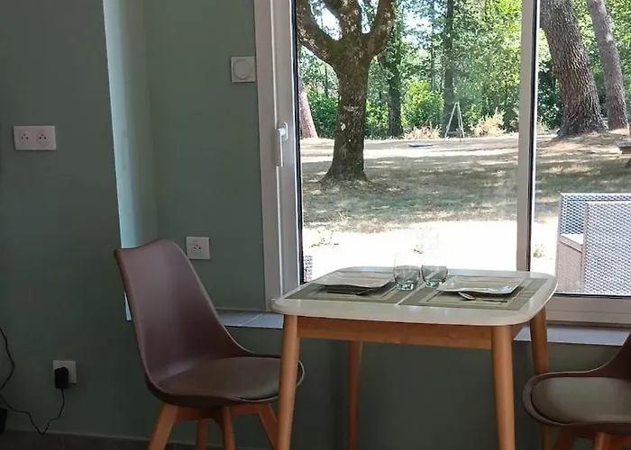 Bois Du Bournat Piscine Et Tranquilite *